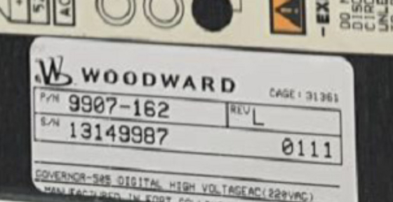 Woodward 9907-162 220 Vac entrada de energía Gobernador digital Control de la turbina +24 Vdc a 1 A