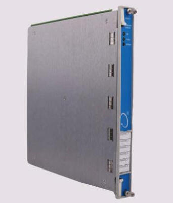 Los módulos de temperatura de Bently Nevada 3500/61 133811-02